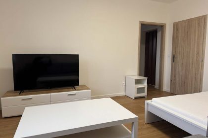 Obývací pokoj s TV