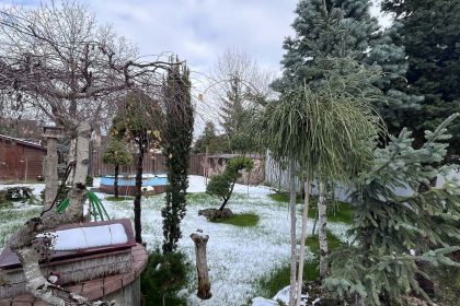 Zahrada – posezení