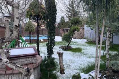 Zahrada – posezení